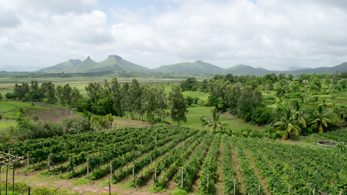 10 Places To Visit In Nashik For The Perfect Weekend Getaway